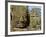 Detail of Face on Bayon Temple-Bob Krist-Framed Photographic Print