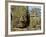 Detail of Face on Bayon Temple-Bob Krist-Framed Photographic Print