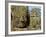 Detail of Face on Bayon Temple-Bob Krist-Framed Photographic Print