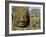 Detail of Face on Bayon Temple-Bob Krist-Framed Photographic Print