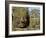 Detail of Face on Bayon Temple-Bob Krist-Framed Photographic Print