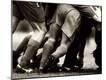 Photographic Print
