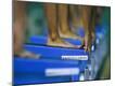 Premium Photographic Print