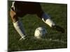 Detail of Foot About to Kick a Soccer Ball-Paul Sutton-Mounted Photographic Print