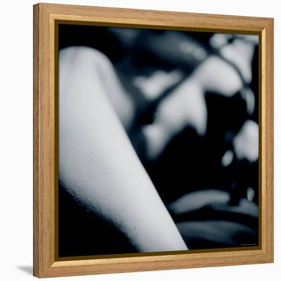 Detail of Form-Edoardo Pasero-Framed Premier Image Canvas