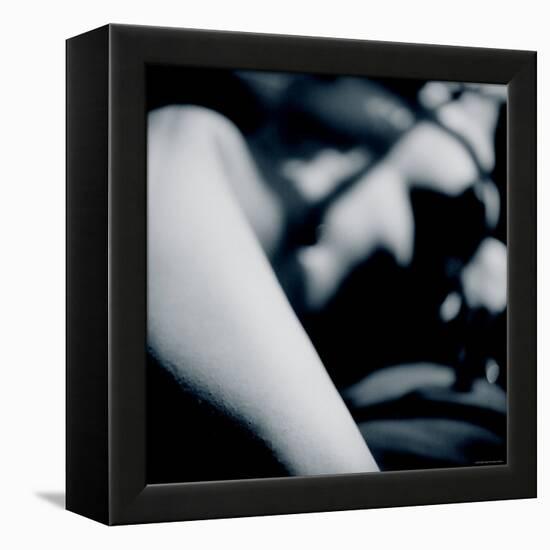 Detail of Form-Edoardo Pasero-Framed Premier Image Canvas