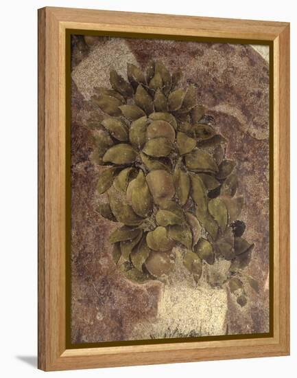 Detail of Fruits and Leaves, from the Last Supper-null-Framed Stretched Canvas