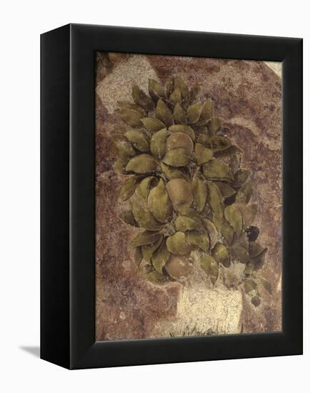 Detail of Fruits and Leaves, from the Last Supper-null-Framed Stretched Canvas