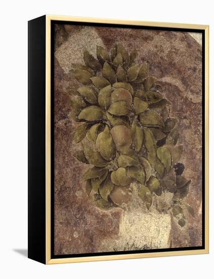 Detail of Fruits and Leaves, from the Last Supper-null-Framed Stretched Canvas