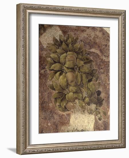 Detail of Fruits and Leaves, from the Last Supper-null-Framed Art Print