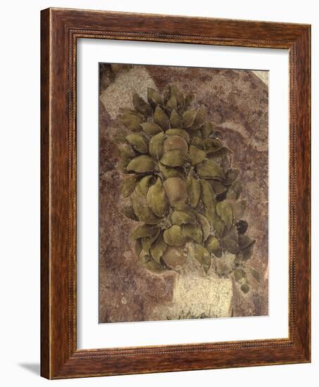 Detail of Fruits and Leaves, from the Last Supper-null-Framed Art Print