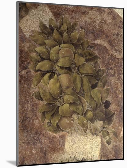 Detail of Fruits and Leaves, from the Last Supper-null-Mounted Art Print