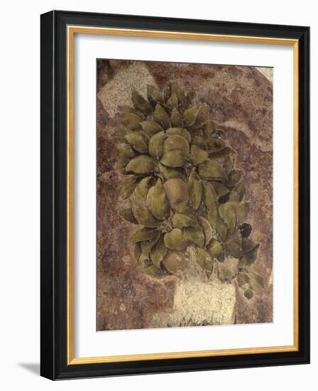 Detail of Fruits and Leaves, from the Last Supper-null-Framed Art Print