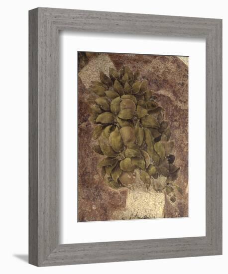 Detail of Fruits and Leaves, from the Last Supper-null-Framed Art Print