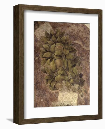 Detail of Fruits and Leaves, from the Last Supper-null-Framed Art Print