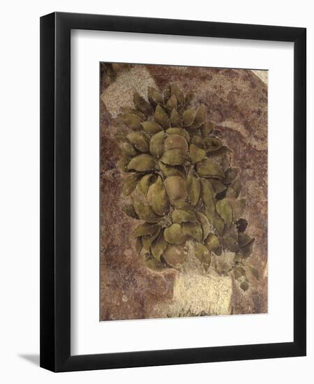 Detail of Fruits and Leaves, from the Last Supper--Framed Art Print