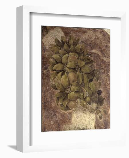 Detail of Fruits and Leaves, from the Last Supper-null-Framed Art Print