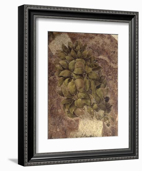 Detail of Fruits and Leaves, from the Last Supper-null-Framed Art Print