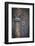 Detail of Gol Stave Church-Doug Pearson-Framed Photographic Print