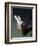 Detail of Gondola Ferro-Jeremy Horner-Framed Photographic Print
