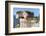 Detail of Ionic column, Delphi, Greece, Europe-Jim Engelbrecht-Framed Photographic Print