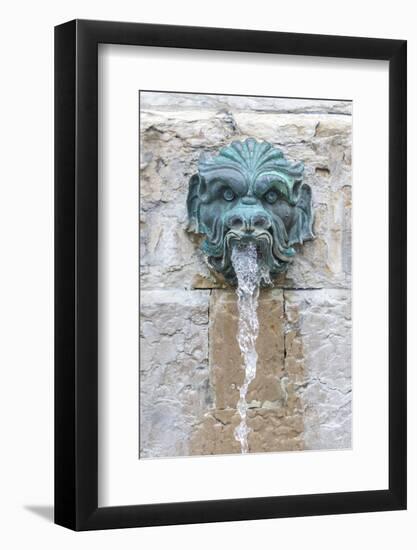 Detail of John the Baptist fountain, Old Town, Lyon, France-Jim Engelbrecht-Framed Photographic Print