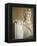 Detail of Lincoln Statue at Lincoln Memorial-Rudy Sulgan-Framed Premier Image Canvas