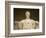 Detail of Lincoln Statue at Lincoln Memorial-Rudy Sulgan-Framed Photographic Print