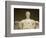 Detail of Lincoln Statue at Lincoln Memorial-Rudy Sulgan-Framed Photographic Print