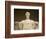 Detail of Lincoln Statue at Lincoln Memorial-Rudy Sulgan-Framed Photographic Print