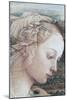 Detail of Madonna and Child-Filippino Lippi-Mounted Giclee Print