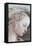 Detail of Madonna and Child-Filippino Lippi-Framed Premier Image Canvas