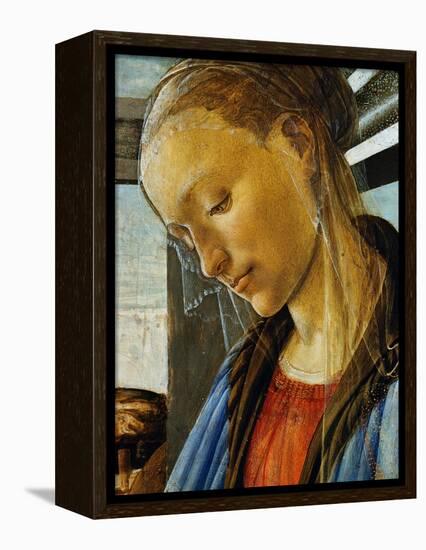 Detail of Mary from Madonna of the Eucharist-Sandro Botticelli-Framed Premier Image Canvas