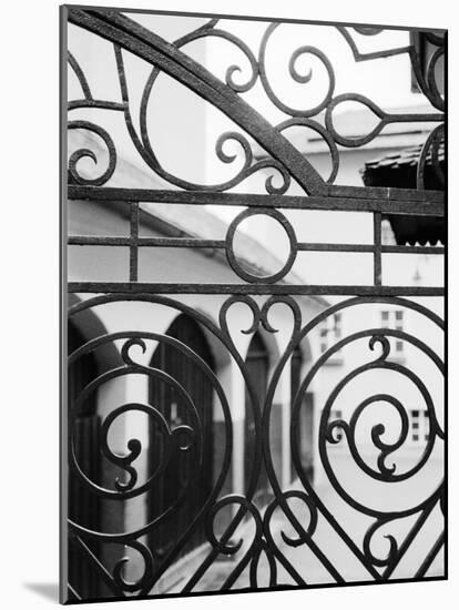 Detail of Metal Gate, Domplatz, Salzburg, Austria-Walter Bibikow-Mounted Photographic Print