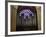 Detail of Notre Dame Cathedral Pipe Organ and Stained Glass Window, Paris, France-Jim Zuckerman-Framed Photographic Print