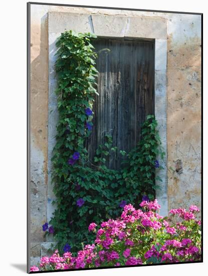 Detail of Old House, Assos, Kefalonia, Ionian Islands, Greece-Walter Bibikow-Mounted Photographic Print