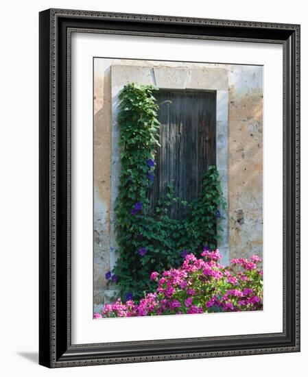 Detail of Old House, Assos, Kefalonia, Ionian Islands, Greece-Walter Bibikow-Framed Photographic Print