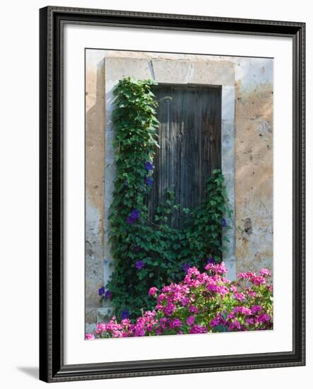 Detail of Old House, Assos, Kefalonia, Ionian Islands, Greece-Walter Bibikow-Framed Photographic Print