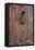 Detail of Old Ornately Carved Wooden Door, Medina, Marrakesh, Morocco, North Africa, Africa-Stephen Studd-Framed Premier Image Canvas