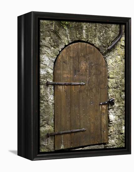 Detail of Old Wooden Door in Stone Wall, Tallinn, Estonia-Nancy & Steve Ross-Framed Premier Image Canvas