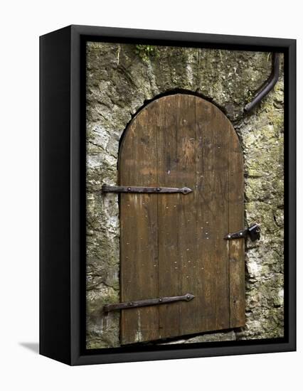 Detail of Old Wooden Door in Stone Wall, Tallinn, Estonia-Nancy & Steve Ross-Framed Premier Image Canvas