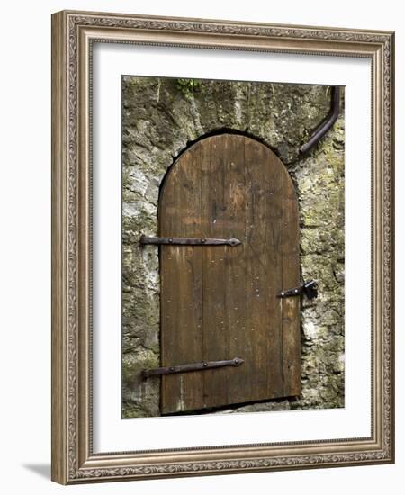 Detail of Old Wooden Door in Stone Wall, Tallinn, Estonia-Nancy & Steve Ross-Framed Photographic Print