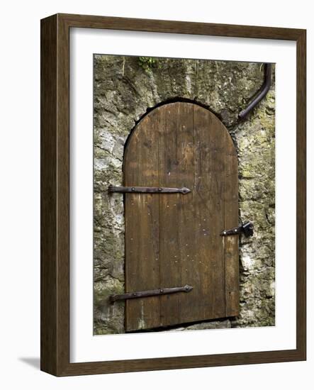 Detail of Old Wooden Door in Stone Wall, Tallinn, Estonia-Nancy & Steve Ross-Framed Photographic Print