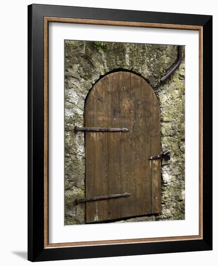 Detail of Old Wooden Door in Stone Wall, Tallinn, Estonia-Nancy & Steve Ross-Framed Photographic Print