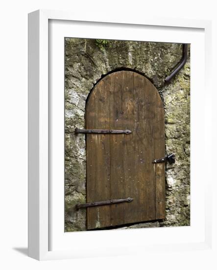 Detail of Old Wooden Door in Stone Wall, Tallinn, Estonia-Nancy & Steve Ross-Framed Photographic Print