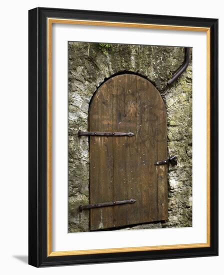 Detail of Old Wooden Door in Stone Wall, Tallinn, Estonia-Nancy & Steve Ross-Framed Photographic Print