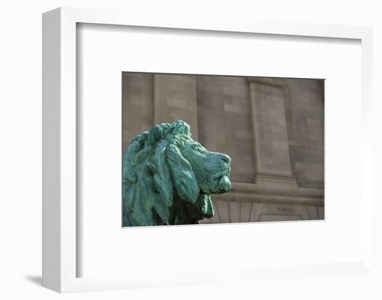 Detail of One of the Art Institute Lions outside the Art Institute of Chicago.-Jon Hicks-Framed Photographic Print