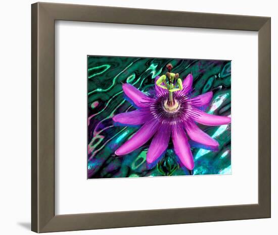 Detail of Passion Flower on Stained Glass, Alpharetta, Georgia, USA-Charles R. Needle-Framed Photographic Print