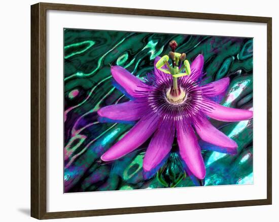 Detail of Passion Flower on Stained Glass, Alpharetta, Georgia, USA-Charles R. Needle-Framed Photographic Print