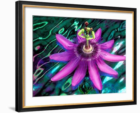 Detail of Passion Flower on Stained Glass, Alpharetta, Georgia, USA-Charles R. Needle-Framed Photographic Print